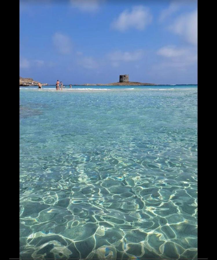 B&B Shardana Sennori Εξωτερικό φωτογραφία